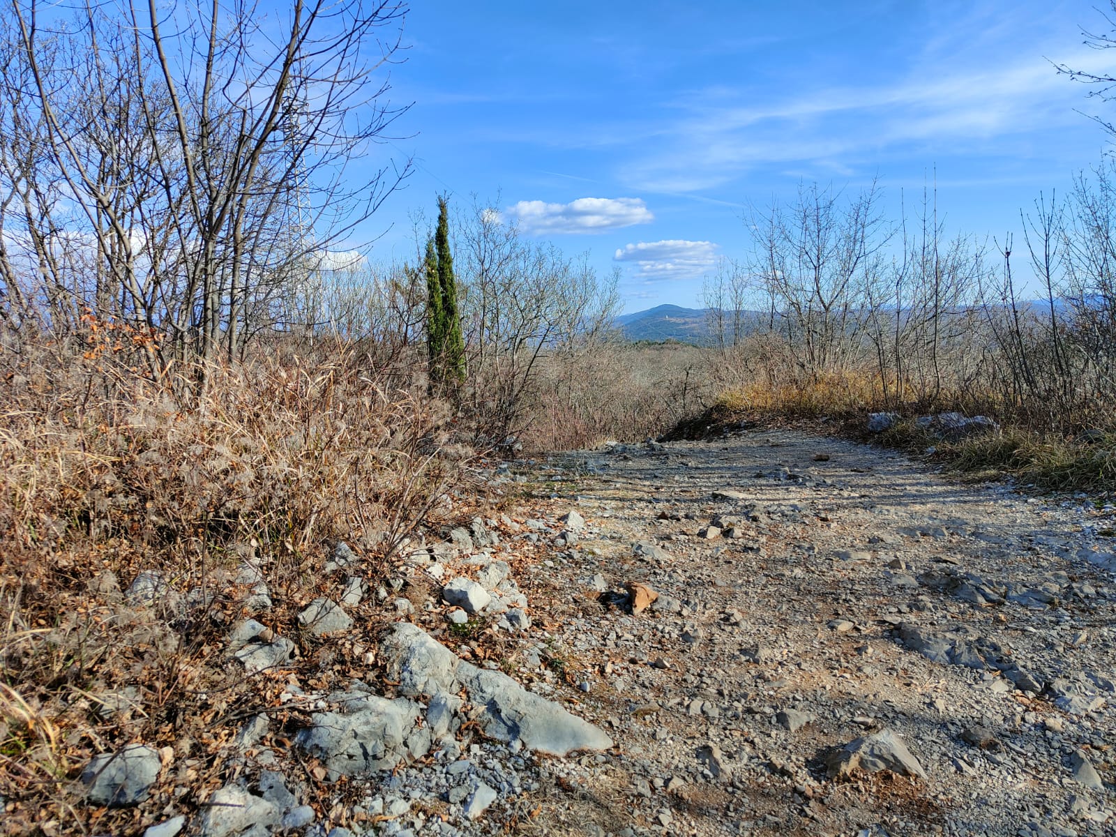 In escursione con Mitja Juren alla scoperta del Monte San Michele 